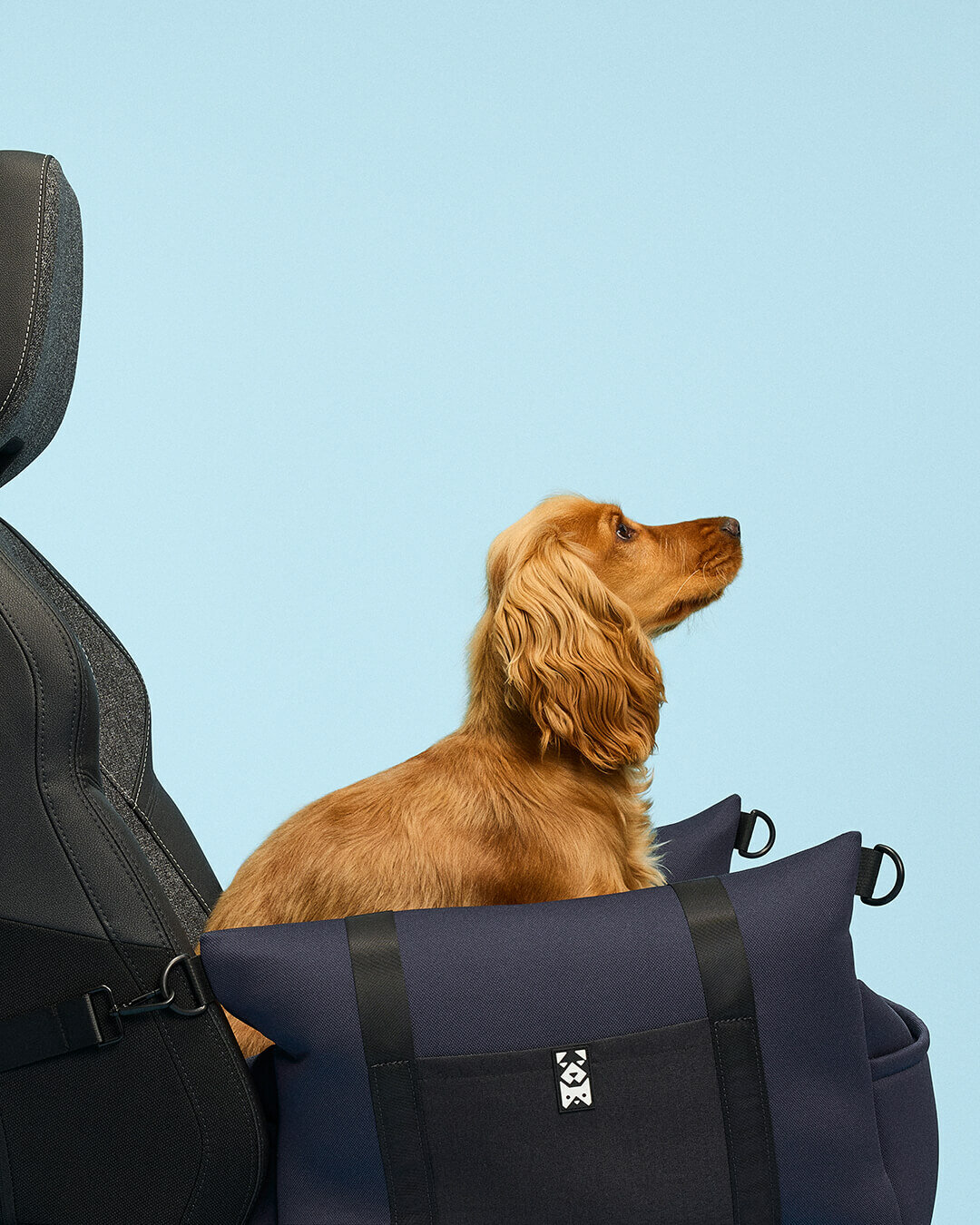 PETS-1
