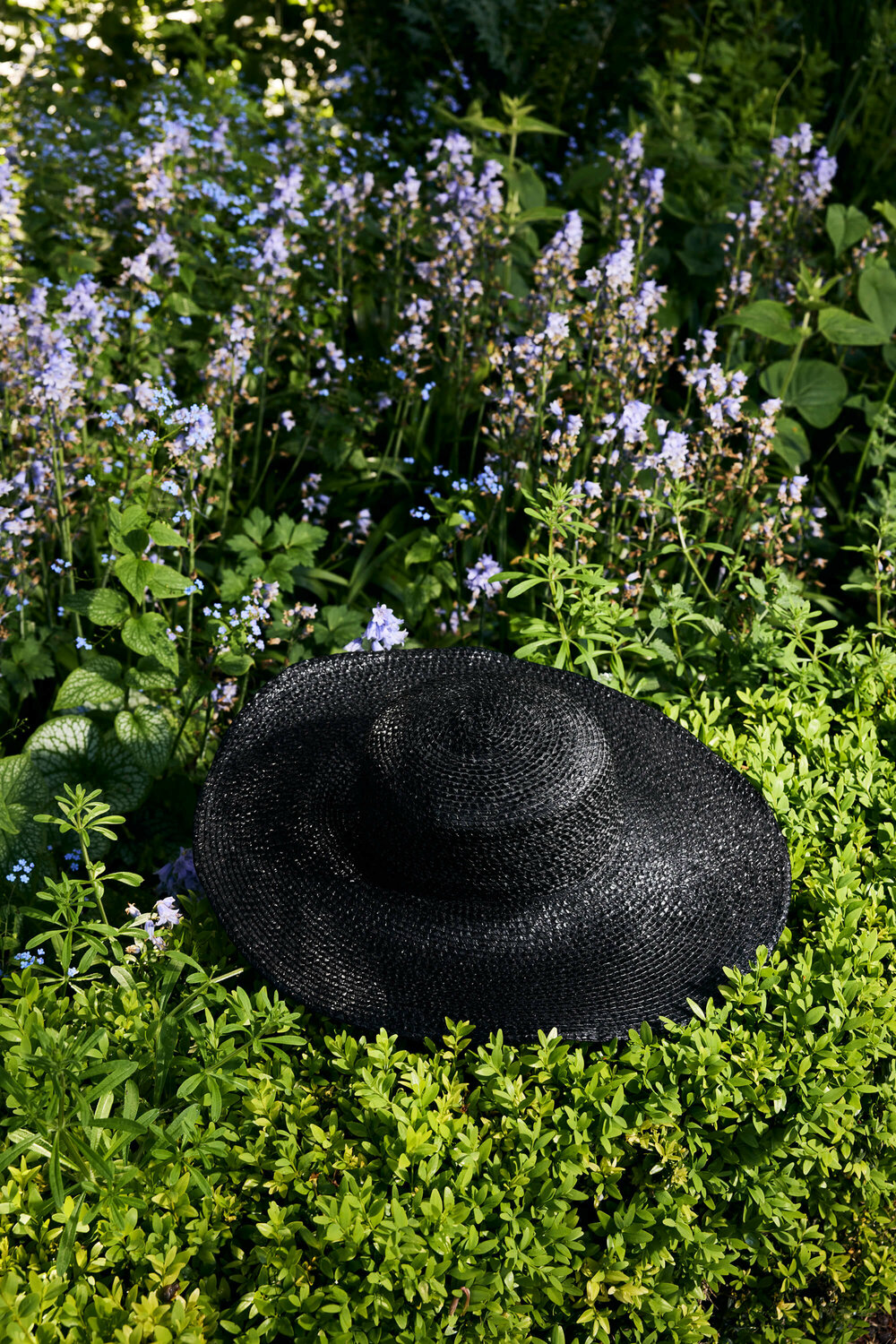 Time to bloom-2